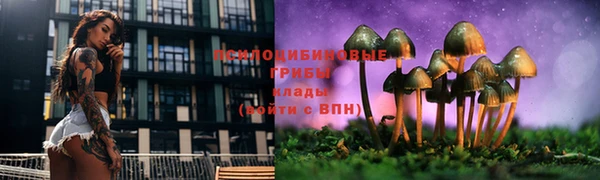 наркотики Вяземский