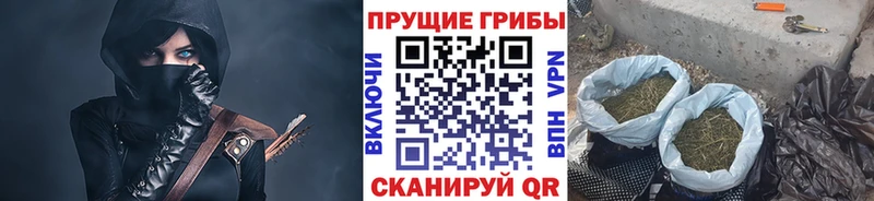 Псилоцибиновые грибы Cubensis  Железногорск 
