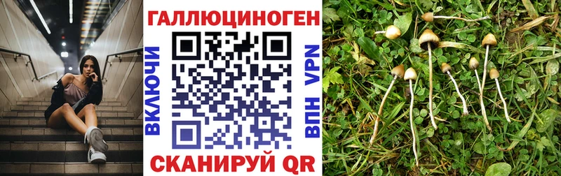 Галлюциногенные грибы GOLDEN TEACHER Железногорск