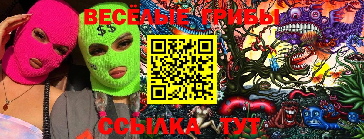 даркнет сайт  Галлюциногенные грибы Psilocybe  Железногорск  Вход с VPN  Галлюциногенные грибы ЛСД 