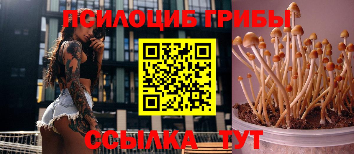 Галлюциногенные грибы мицелий Железногорск